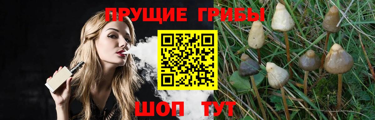 продажа наркотиков  Вход с VPN  Барнаул  Галлюциногенные грибы GOLDEN TEACHER 